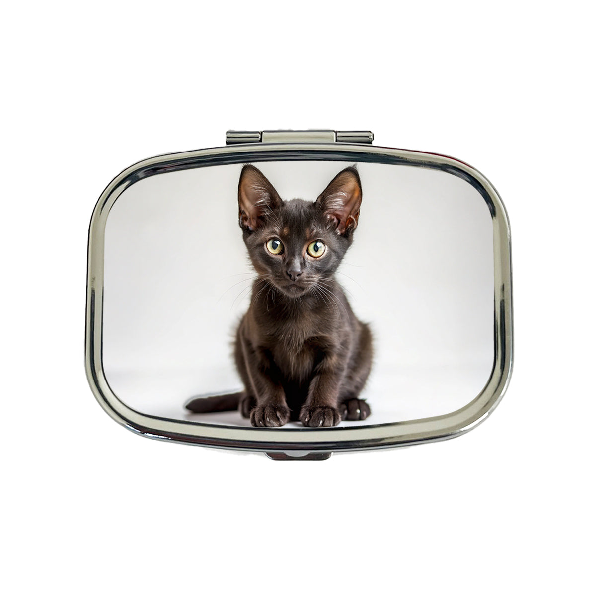 Bombay Black Cat Kitten Photo Travel Pill Box Case