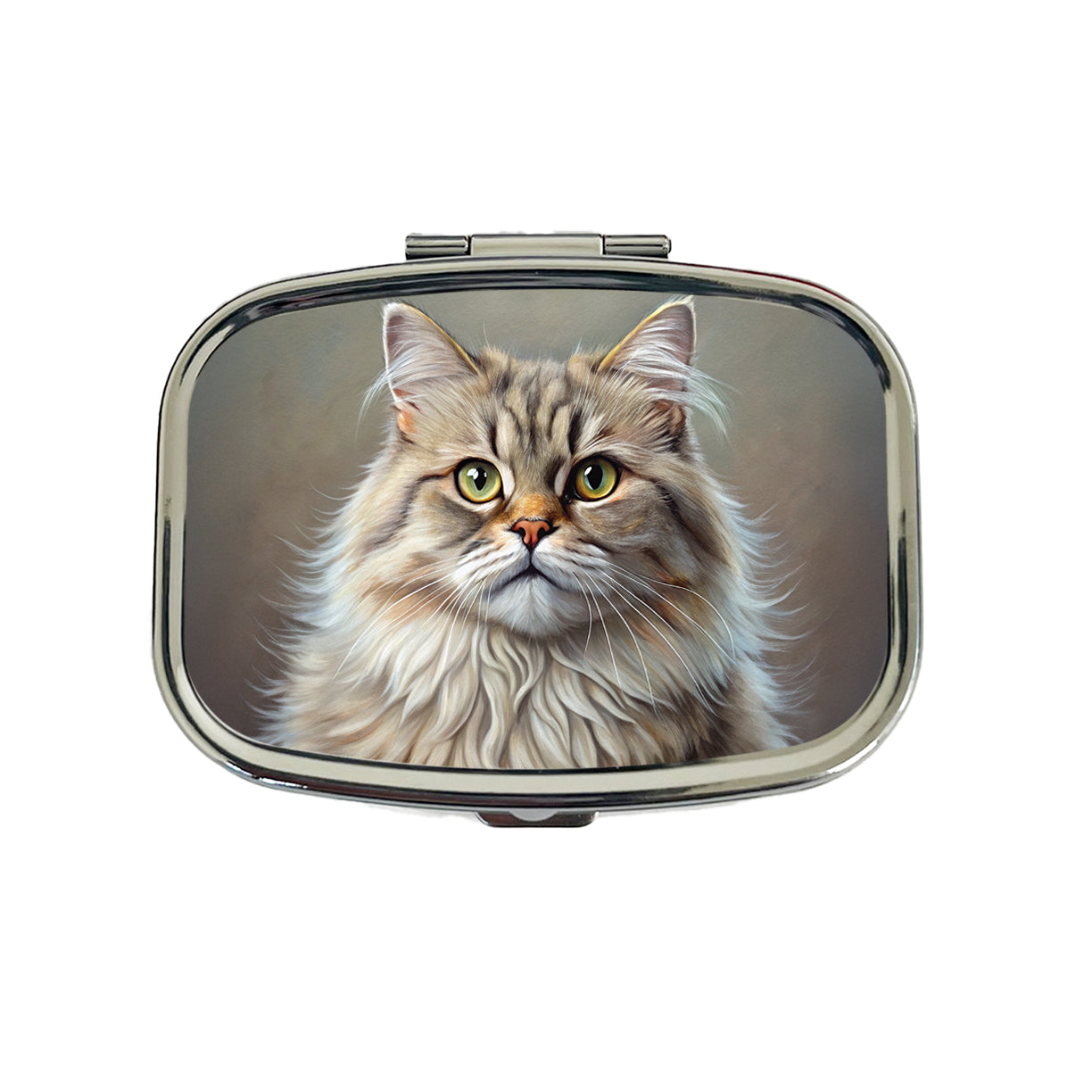 British Longhair Cat Illustration Travel Pill Box Case