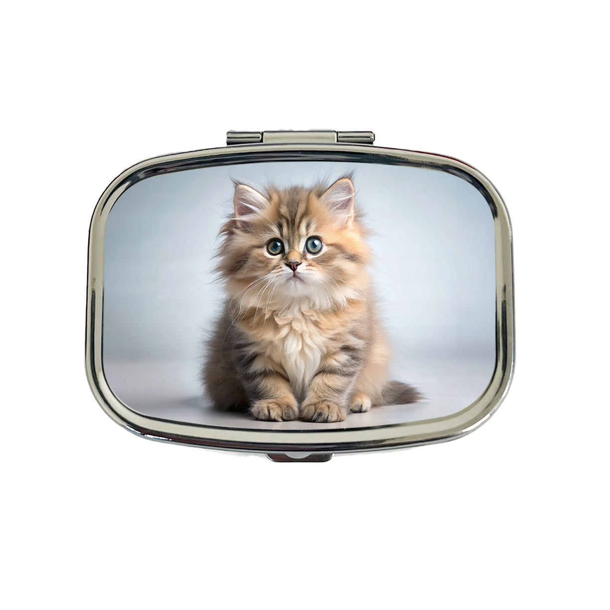 British Longhair Cat Kitten Photo Travel Pill Box Case