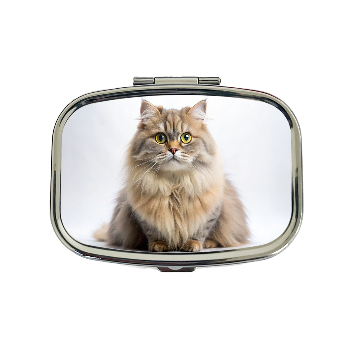 British Longhair Cat Photo Travel Pill Box Case