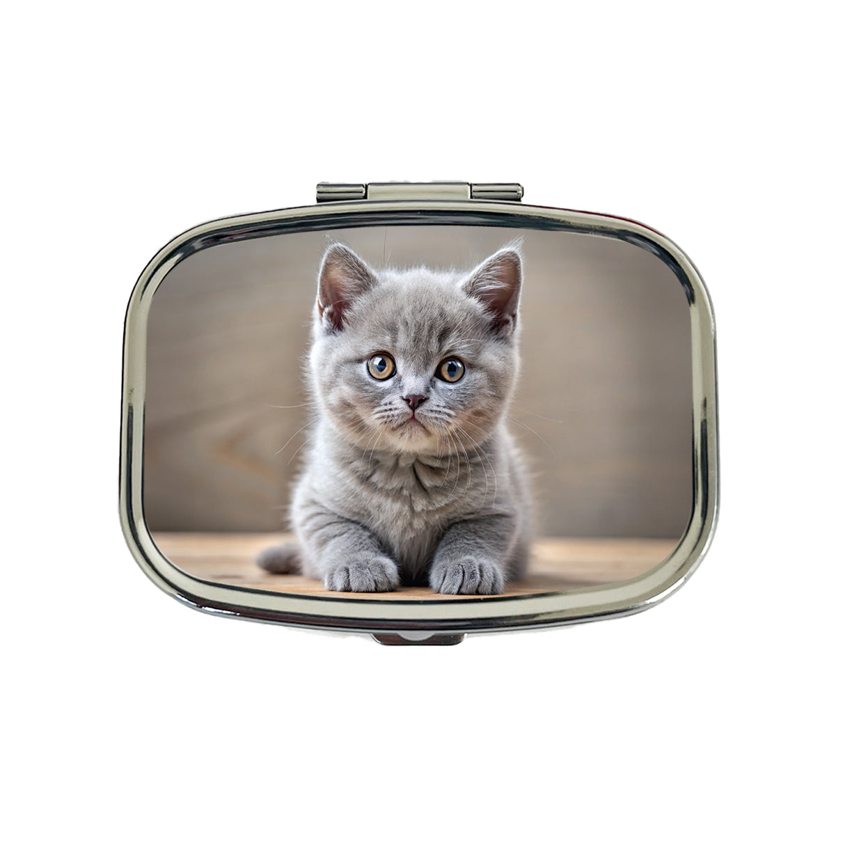 British Shorthair Gray Cat Kitten Photo Travel Pill Box Case