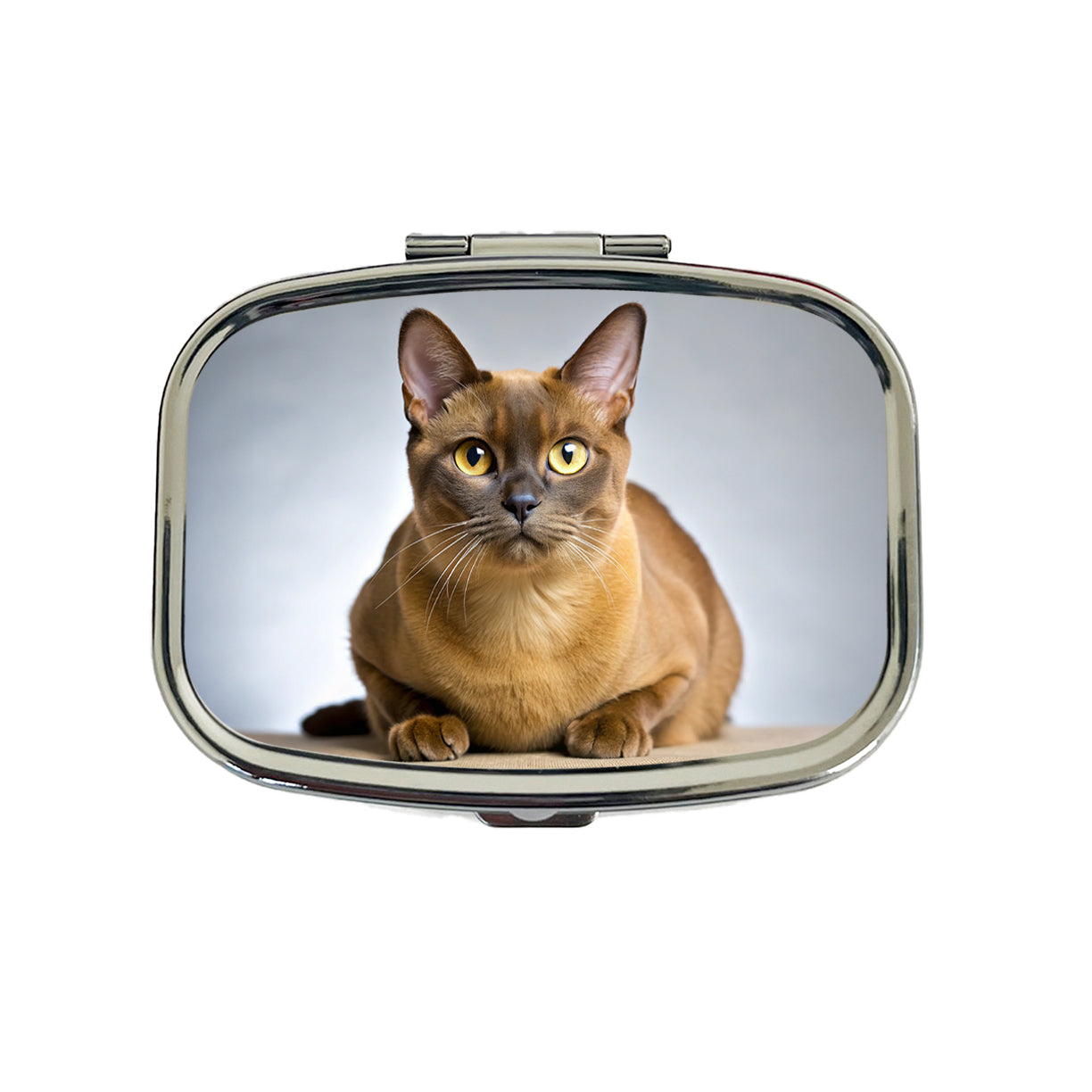 Burmese Cat Photo Travel Pill Box Case