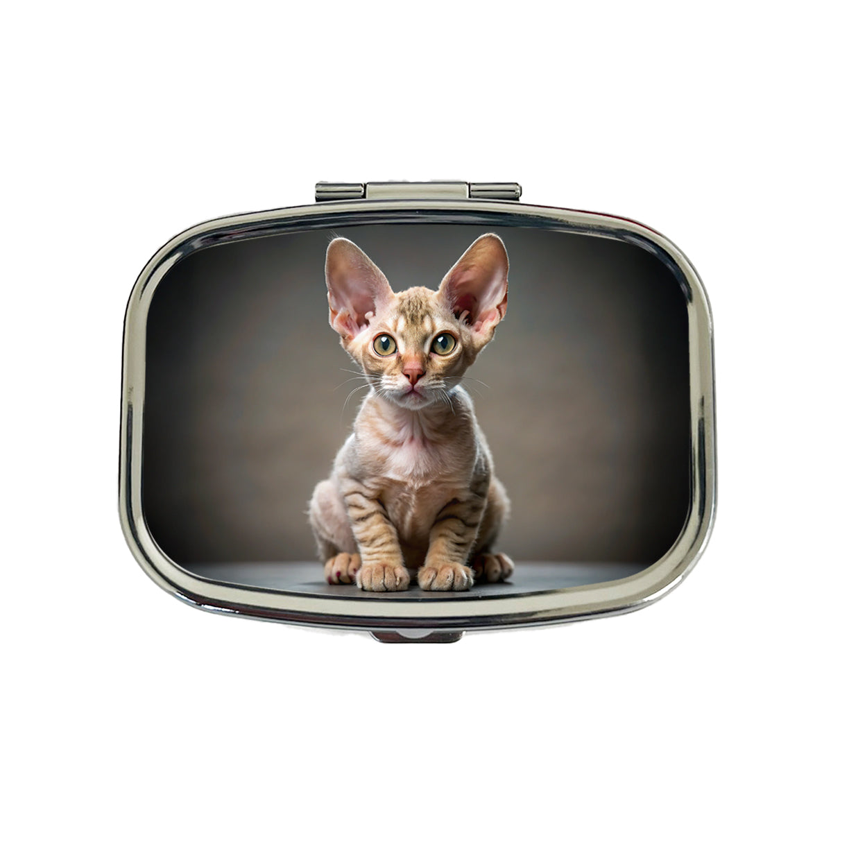 Devon Rex Cat Kitten Photo Travel Pill Box Case