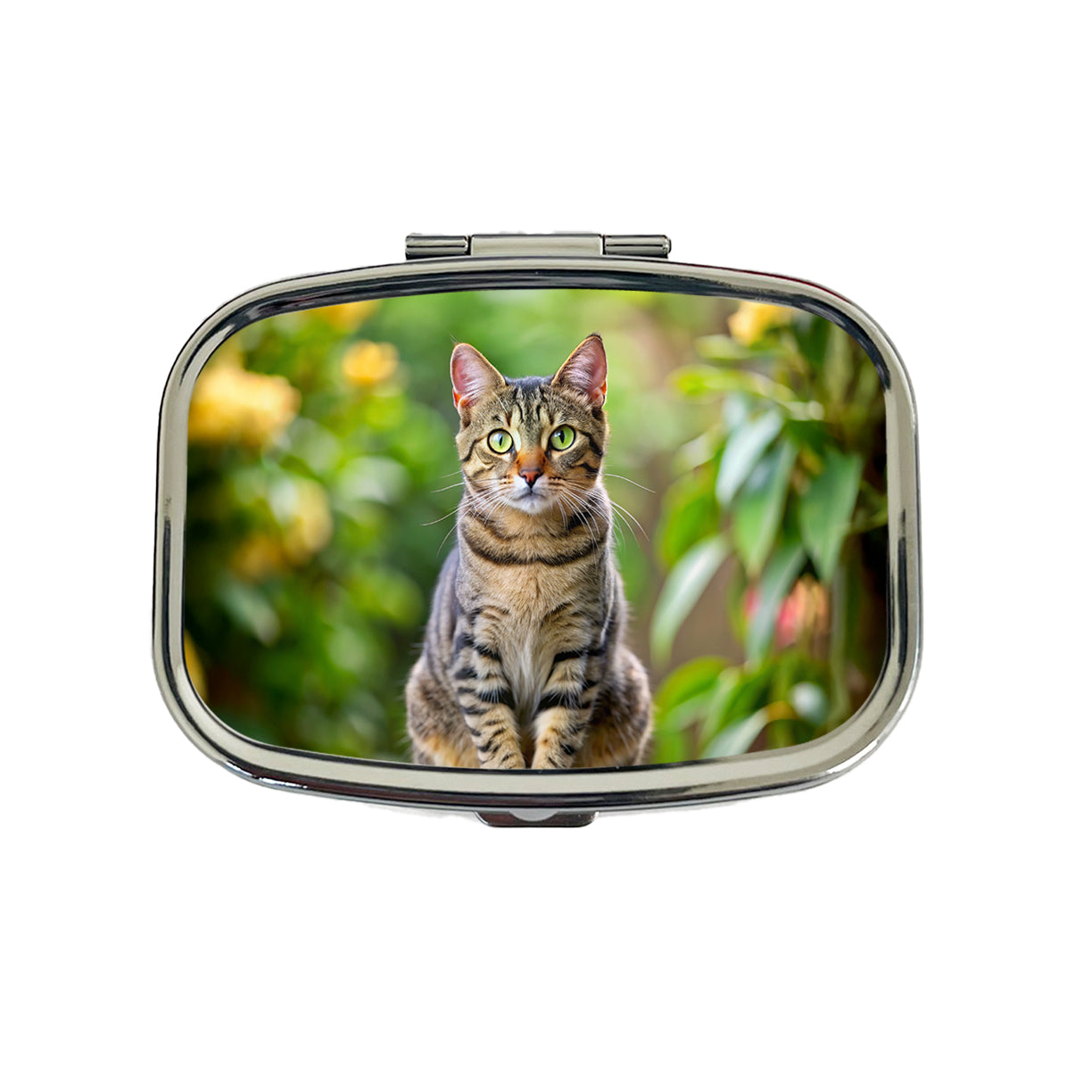 European Shorthair Cat Photo Travel Pill Box Case