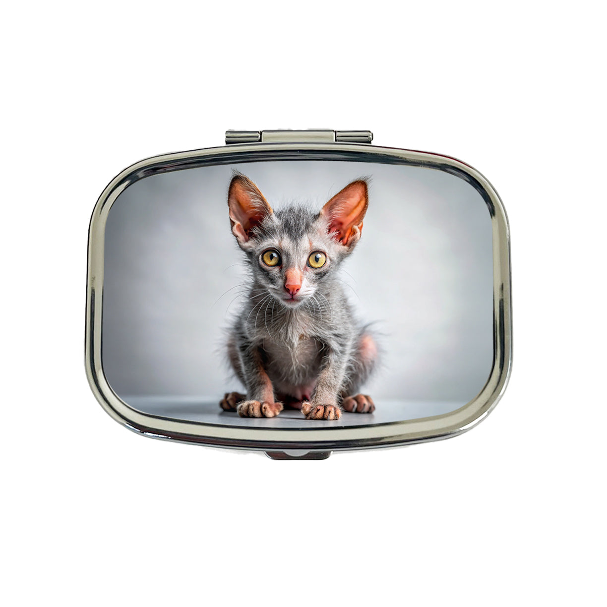 Lykoi Wolf Cat Kitten Photo Travel Pill Box Case