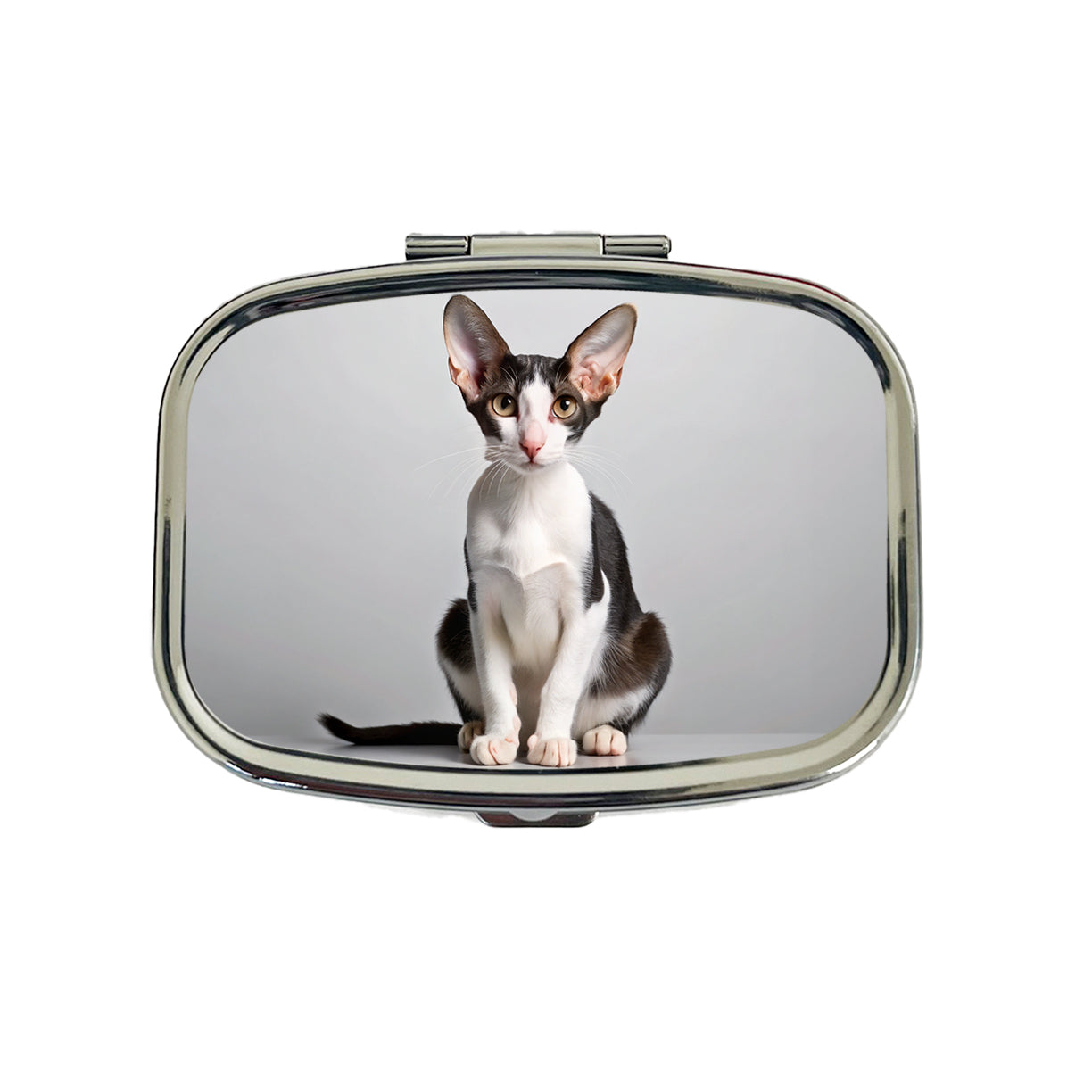 Oriental Shorthair Black White Cat Photo Travel Pill Box Case
