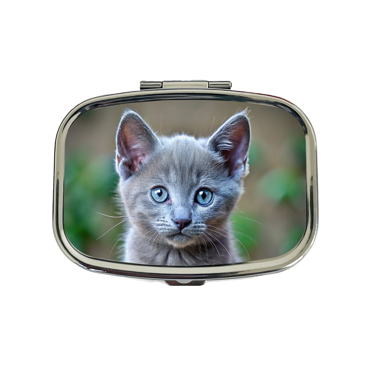 Russian Blue Cat Kitten Photo Travel Pill Box Case
