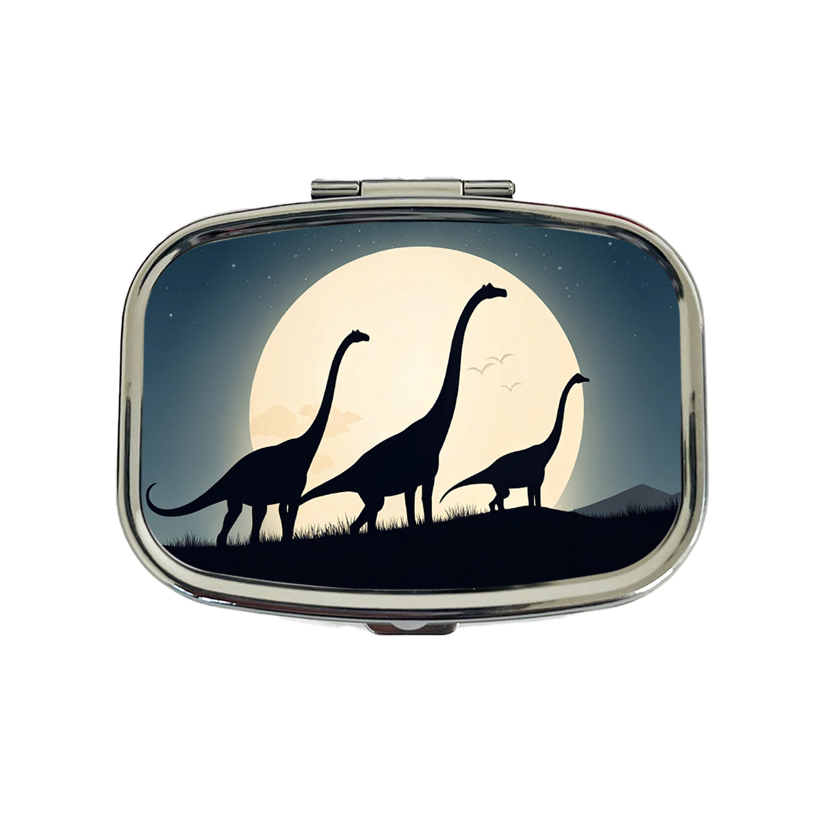 Apatosaurus Silhouettes Moon Night Dinosaurs Travel Pill Box Case