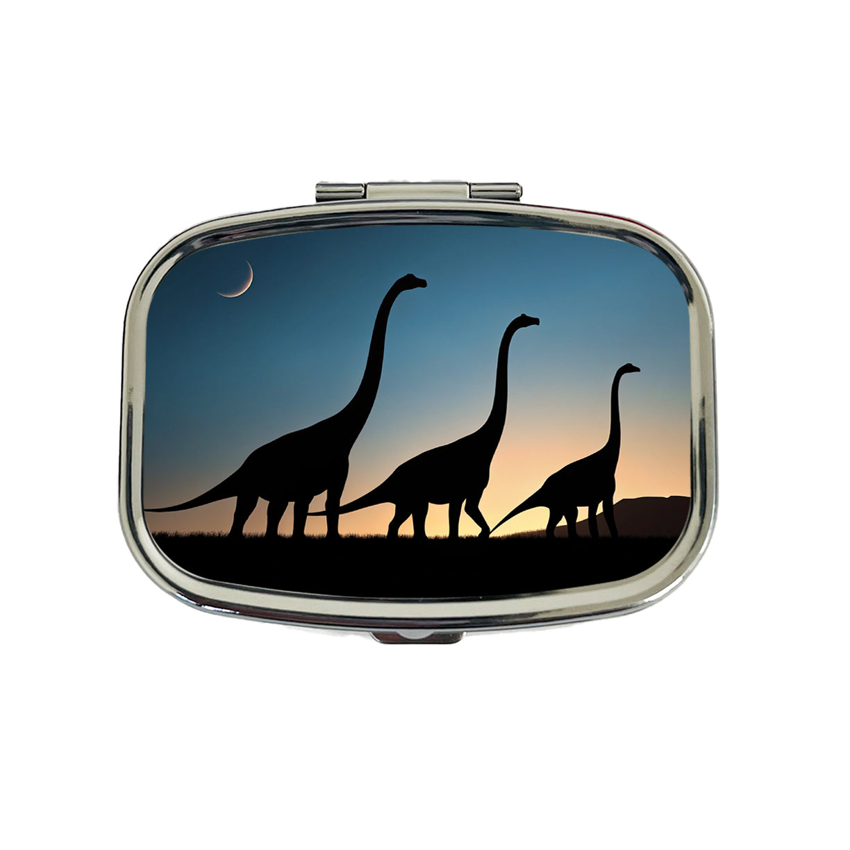 Brachiosaurus Silhouettes Dinosaurs Travel Pill Box Case