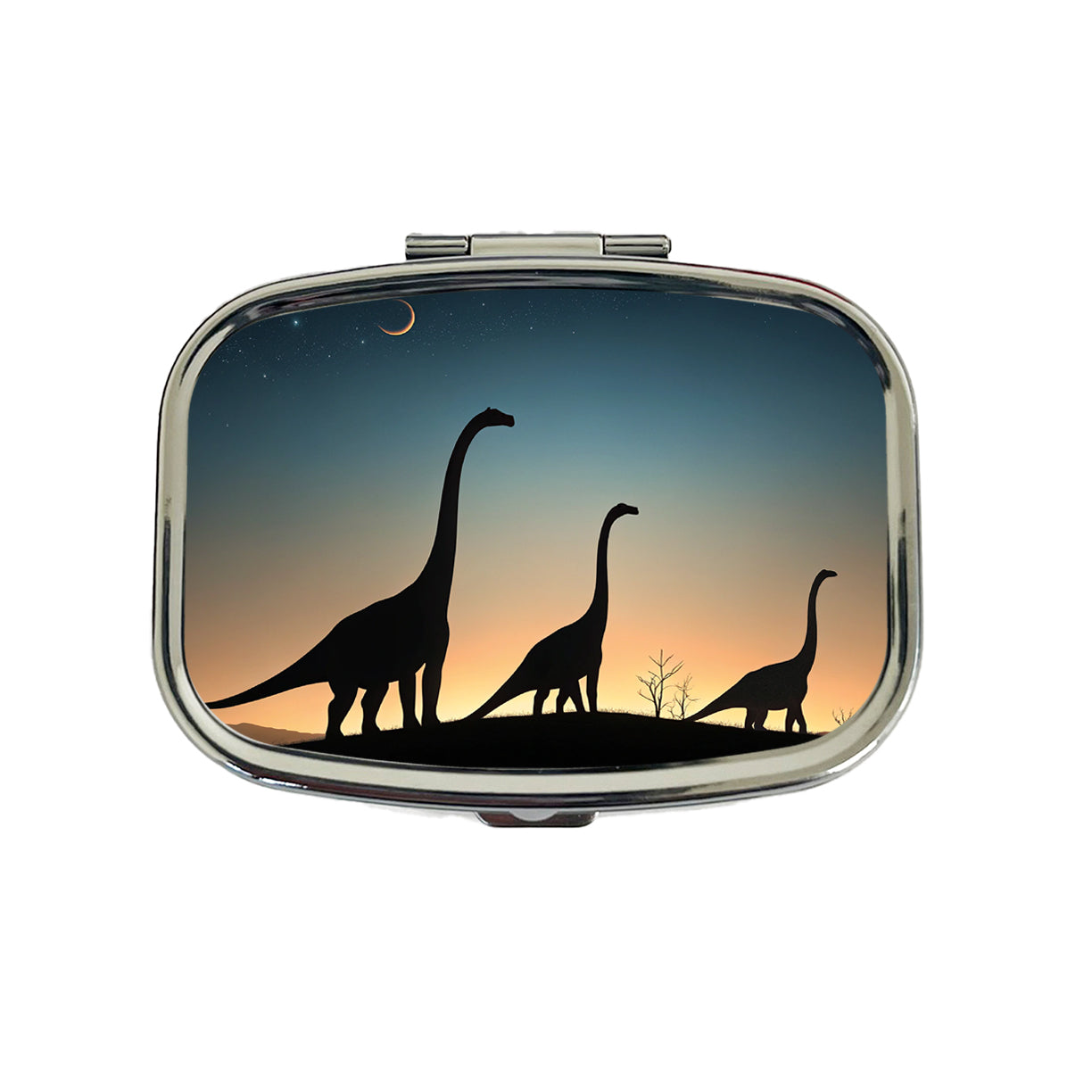Brontosaurus Silhouettes Night Dinosaurs Travel Pill Box Case