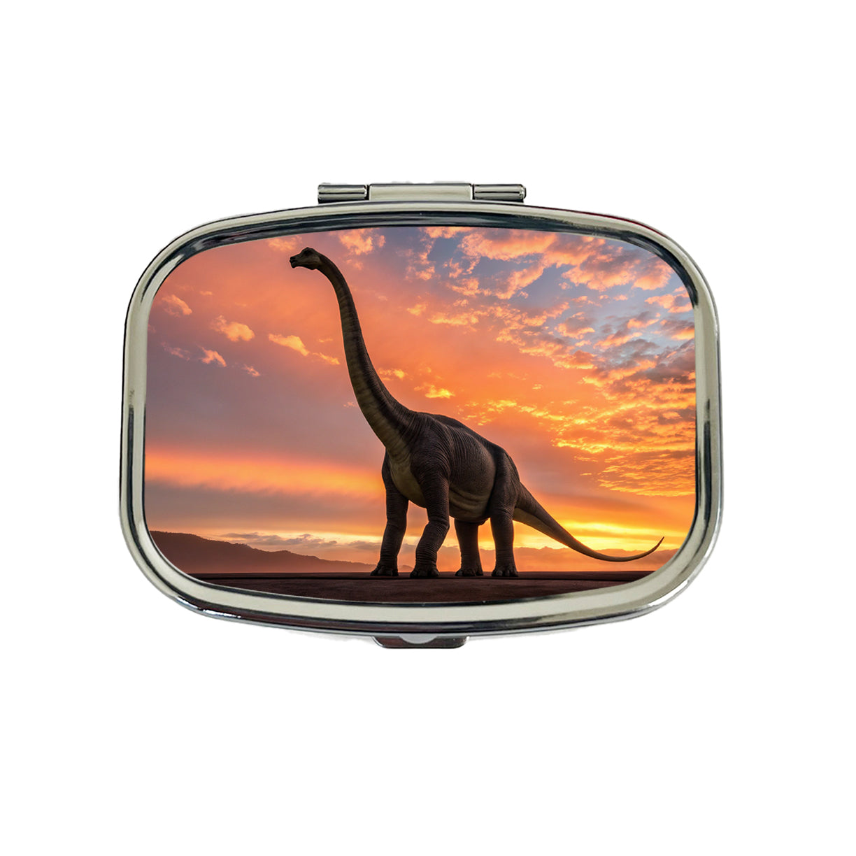 Brontosaurus Sunset Dinosaur Travel Pill Box Case