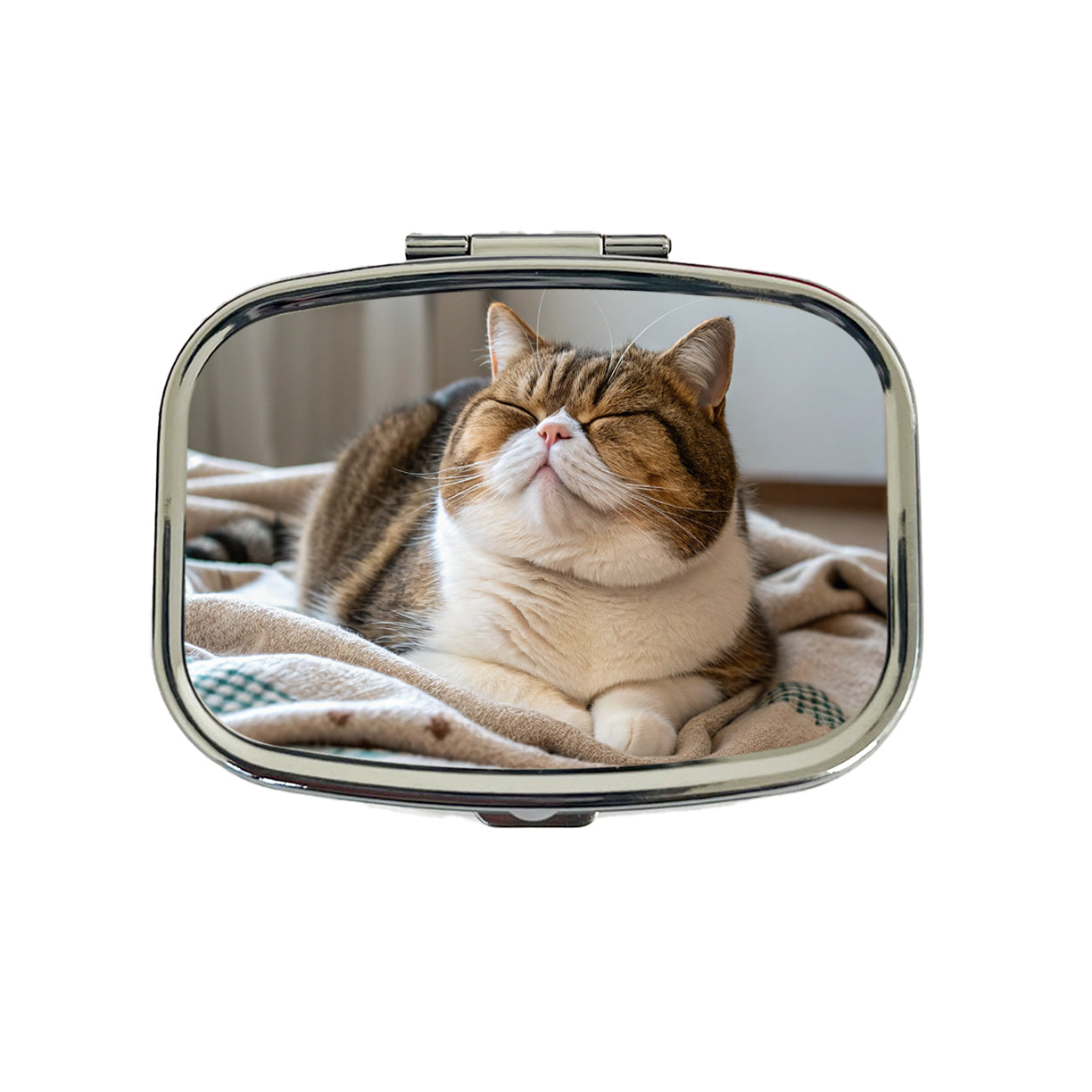 Chubby Cat Lying Down Cute Travel Pill Box Case