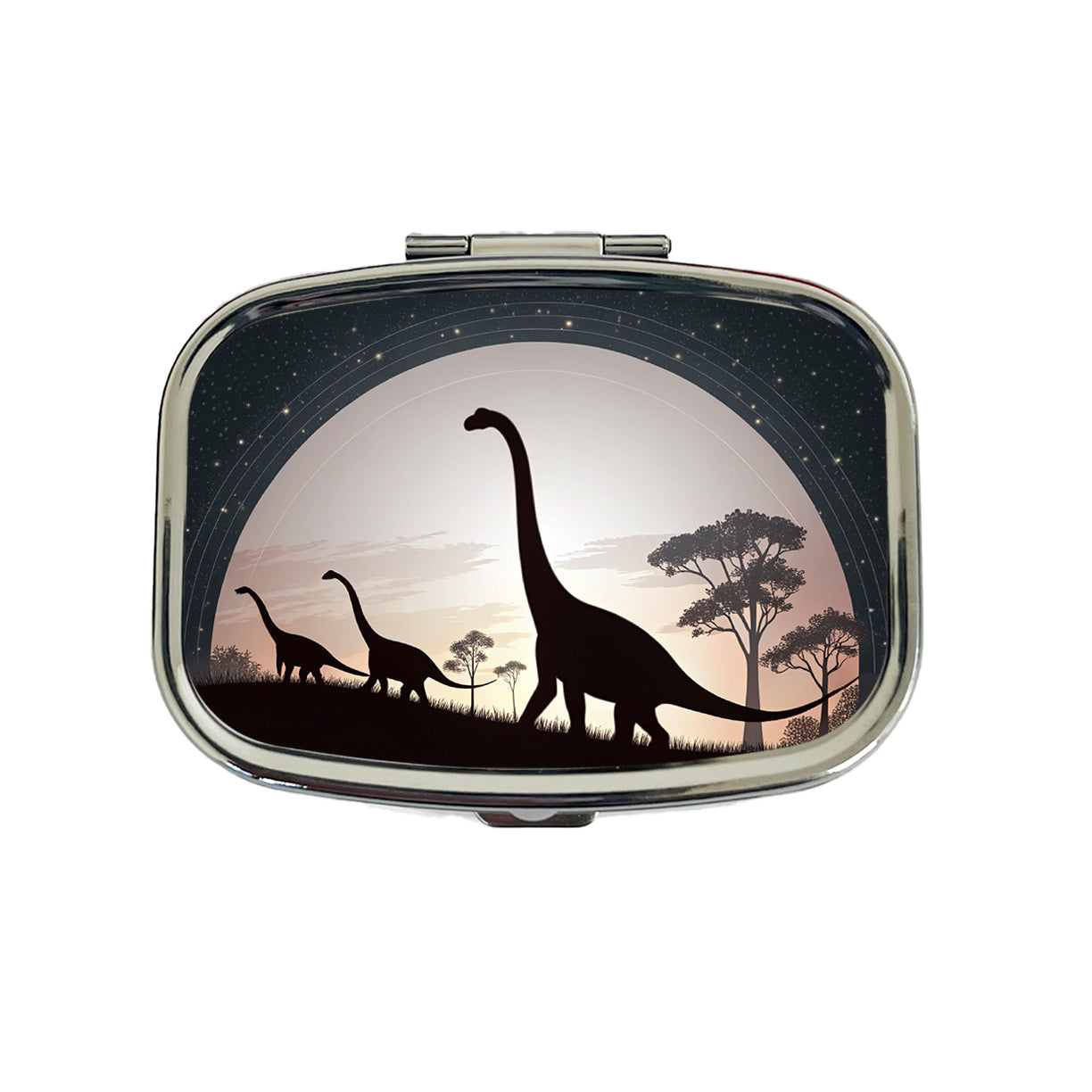 Diplodocus Silhouettes Dinosaurs Travel Pill Box Case