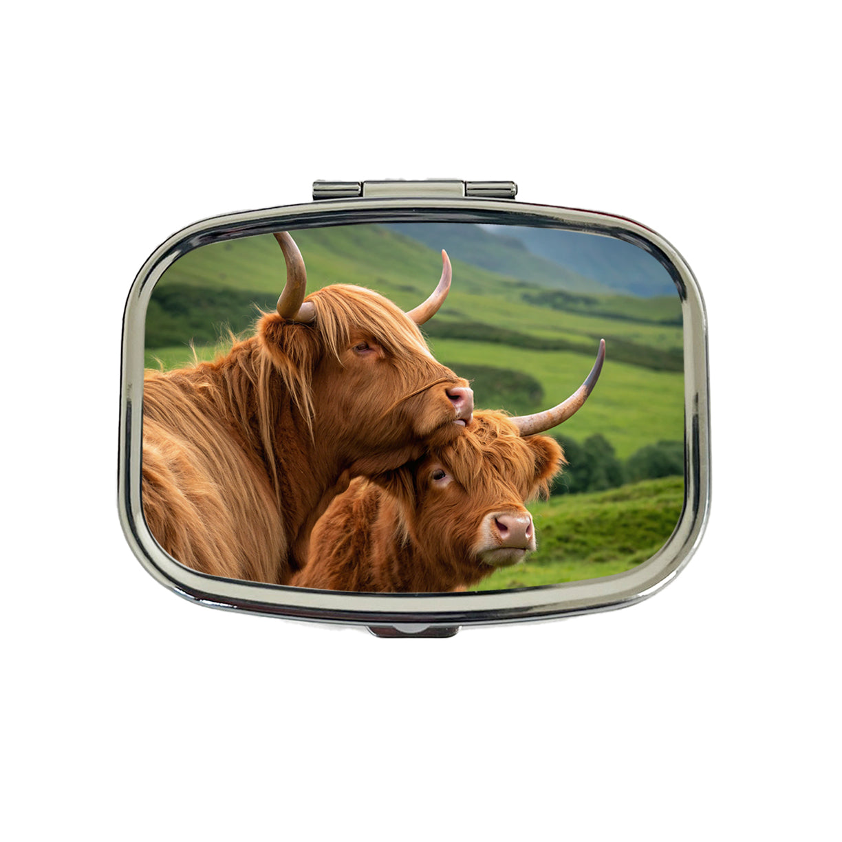 Highland Cows Hug Love Travel Pill Box Case