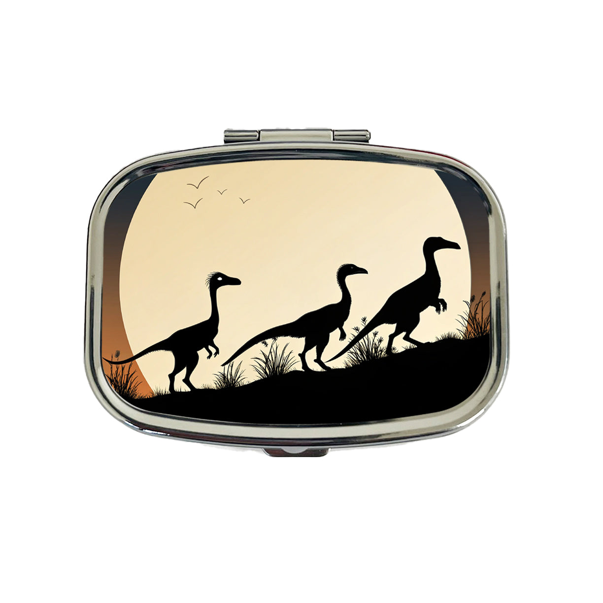 Troodon Silhouettes Dinosaurs Travel Pill Box Case