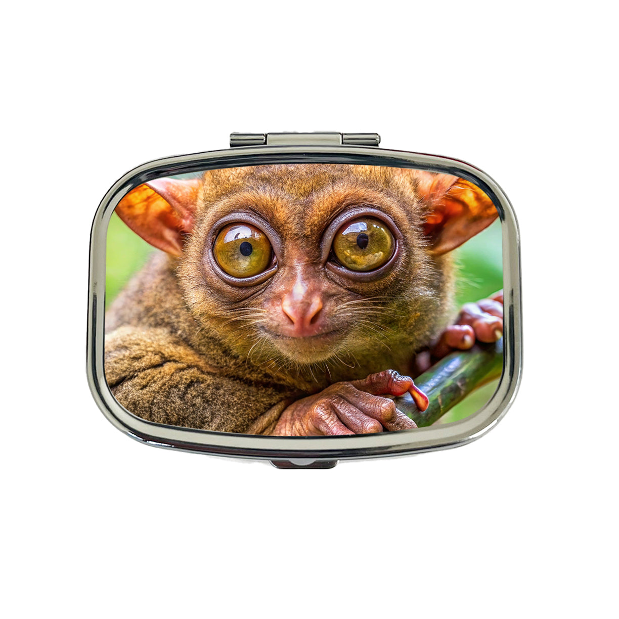 Tarsier Photograph Travel Pill Box Case