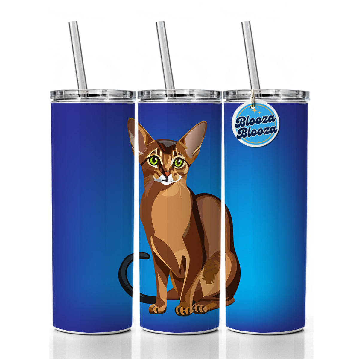 Abyssinian Cat Sitting Skinny Tumbler 20oz with Straw Insulated Water Bottle Gift