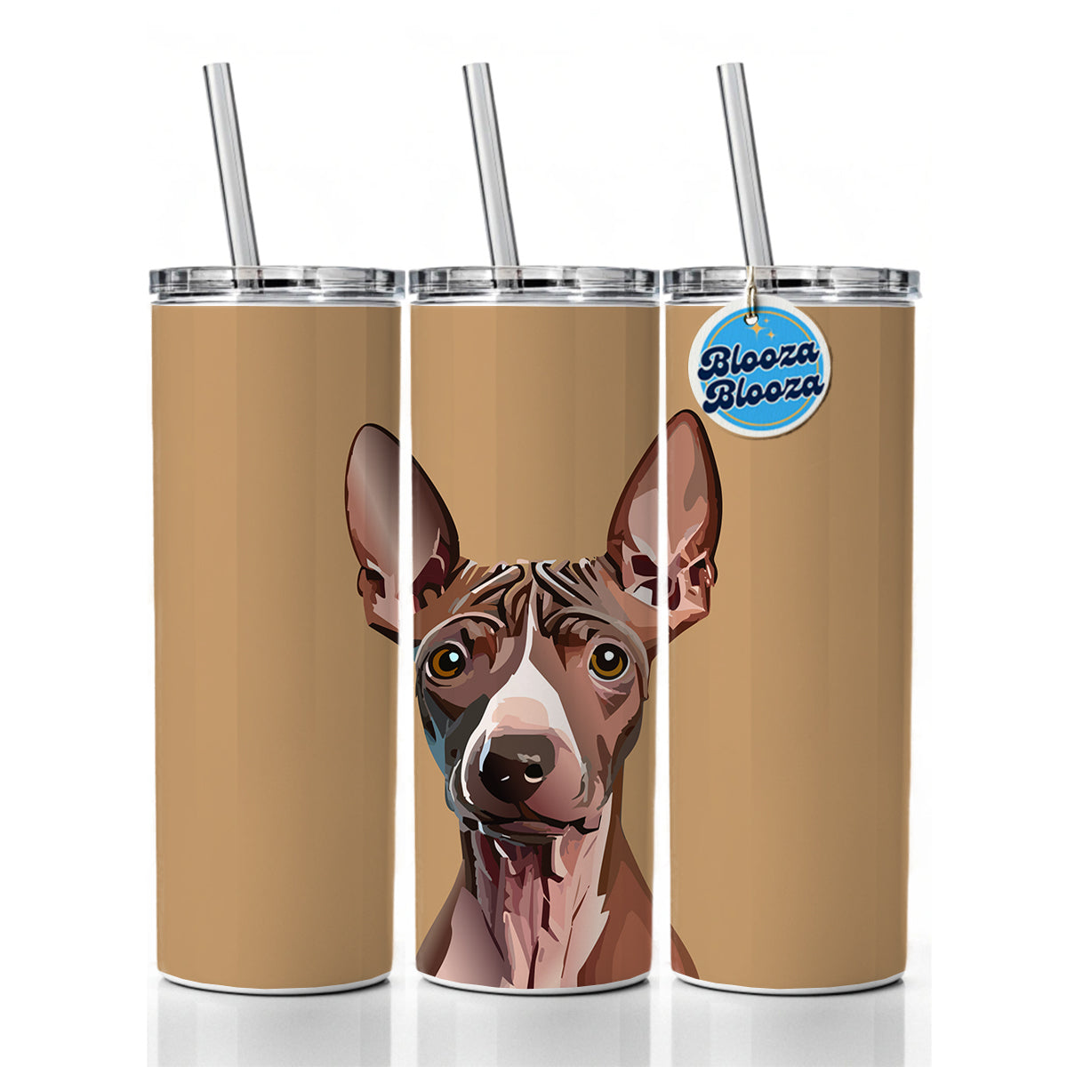 American Hairless Terrier Staring Skinny Tumbler 20oz with Straw Insulated Water Bottle Gift