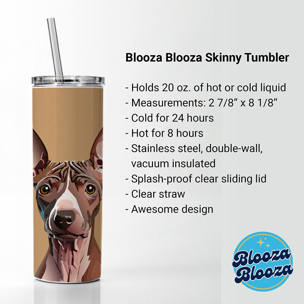 American Hairless Terrier Staring Skinny Tumbler 20oz with Straw Insulated Water Bottle Gift
