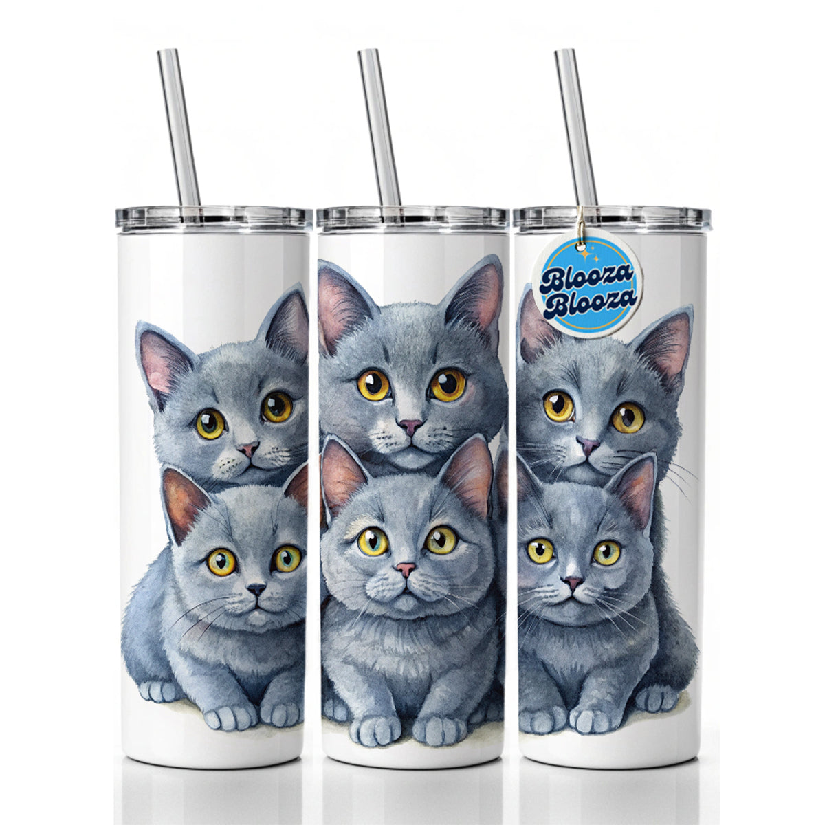 Sweet Chartreux Cats Skinny Tumbler 20oz with Straw Insulated Water Bottle Gift