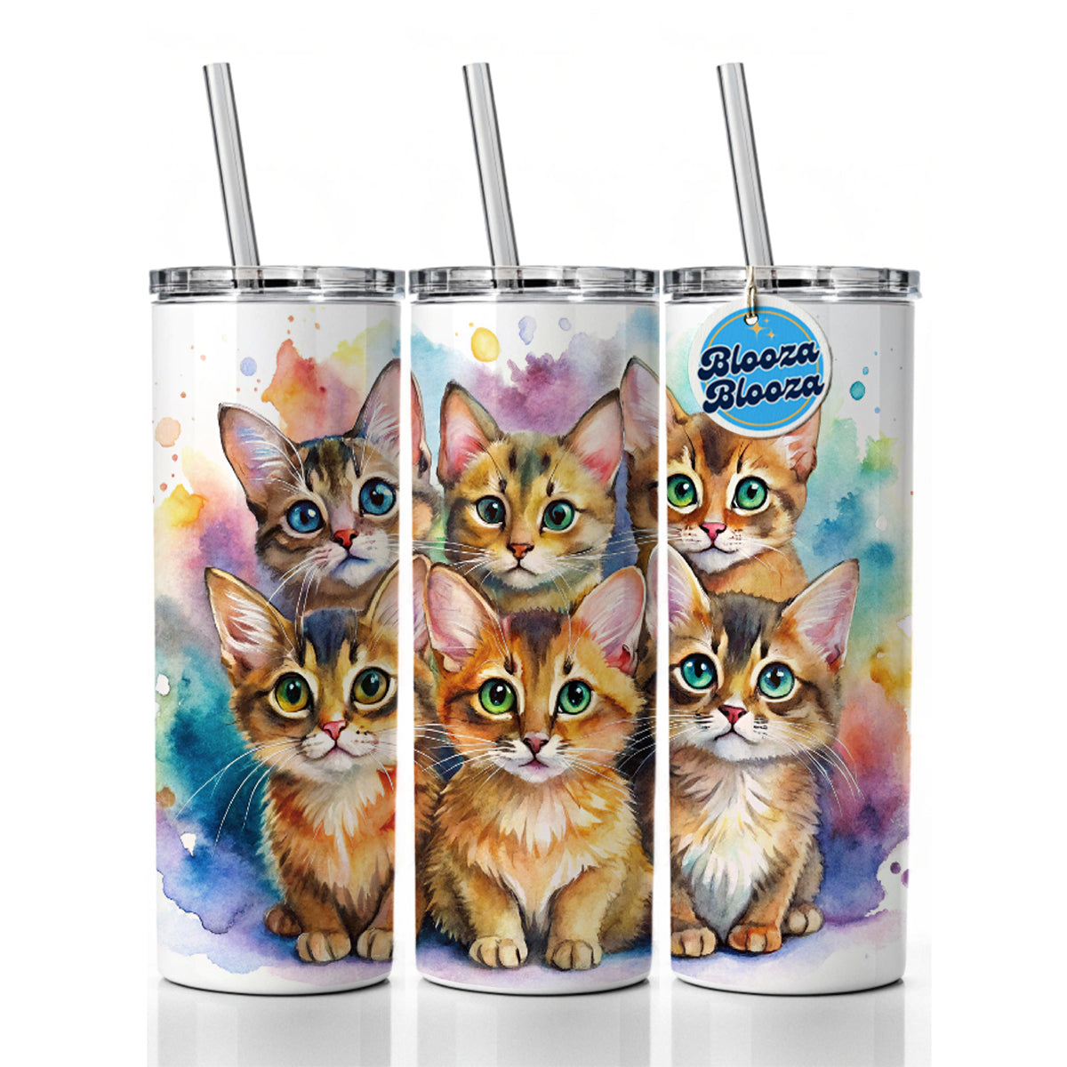 Sweet Somali Cats Skinny Tumbler 20oz with Straw Insulated Water Bottle Gift