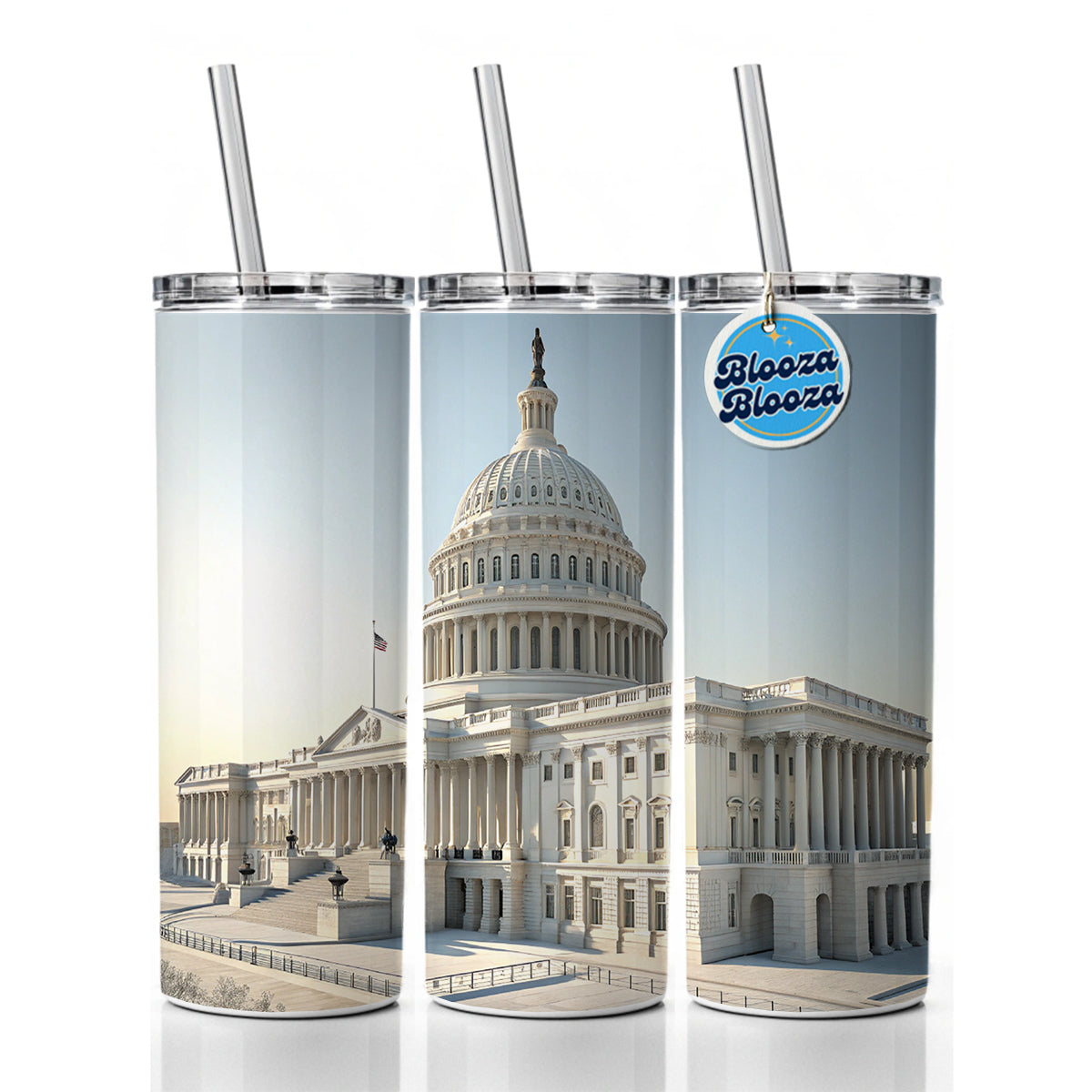 US Capitol Building Washington DC Skinny Tumbler 20oz with Straw Insulated Water Bottle Gift