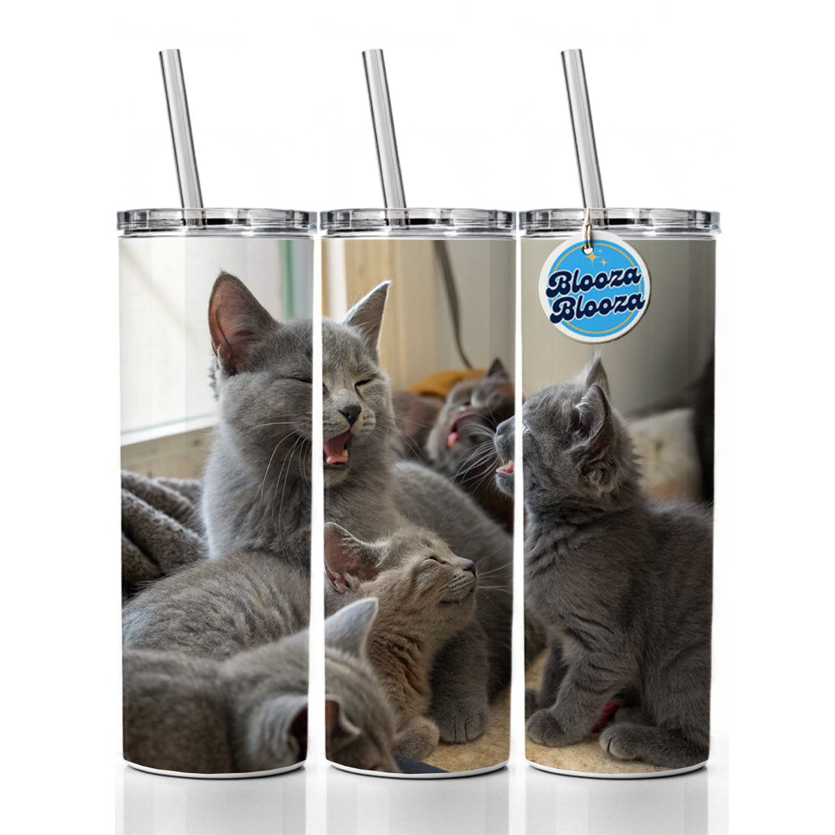 Bunch Of Gray Cats Skinny Tumbler 20oz with Straw Insulated Water Bottle Gift
