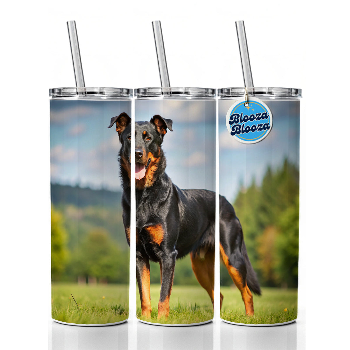Beauceron Dog Photo Skinny Tumbler 20oz with Straw Insulated Water Bottle Gift