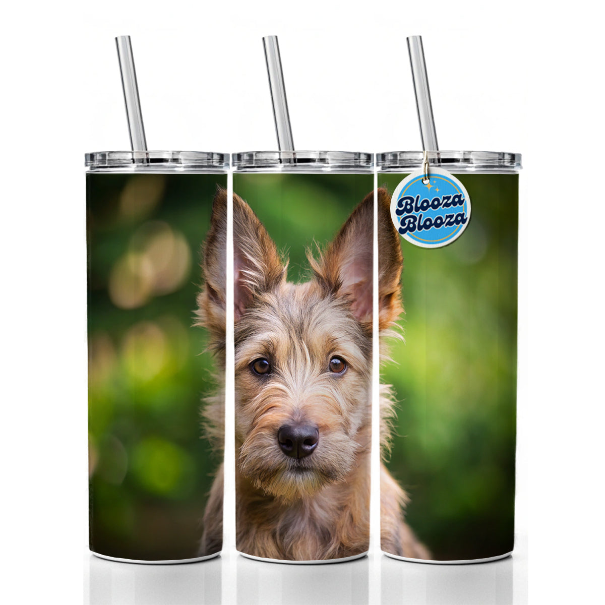 Berger Picard Dog Puppy Photo Skinny Tumbler 20oz with Straw Insulated Water Bottle Gift