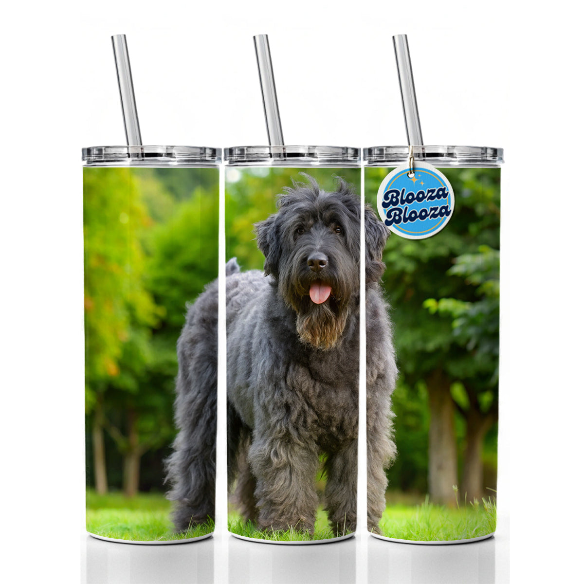 Bouviers Des Flandres Dog Photo Skinny Tumbler 20oz with Straw Insulated Water Bottle Gift