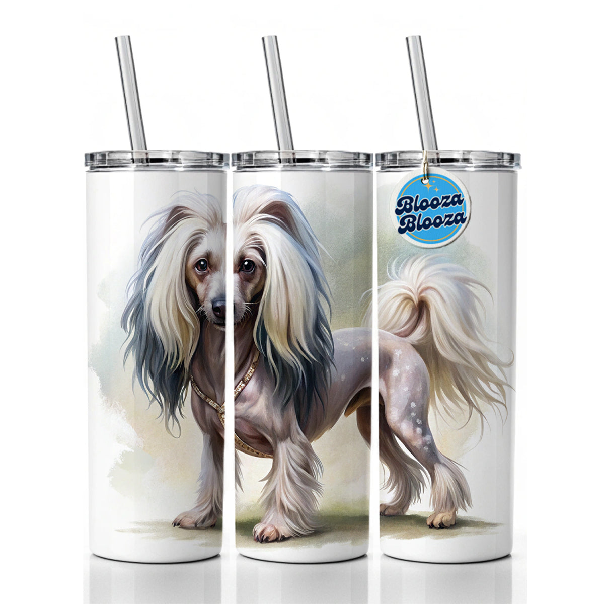 Chinese Crested Dog Illustration Skinny Tumbler 20oz with Straw Insulated Water Bottle Gift