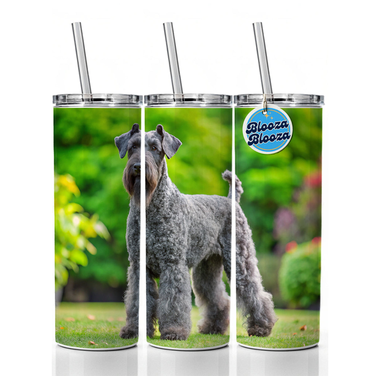 Kerry Blue Terrier Dog Photo Skinny Tumbler 20oz with Straw Insulated Water Bottle Gift