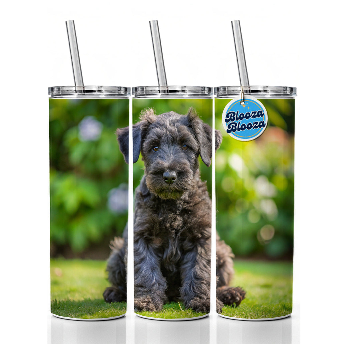 Kerry Blue Terrier Dog Puppy Photo Skinny Tumbler 20oz with Straw Insulated Water Bottle Gift