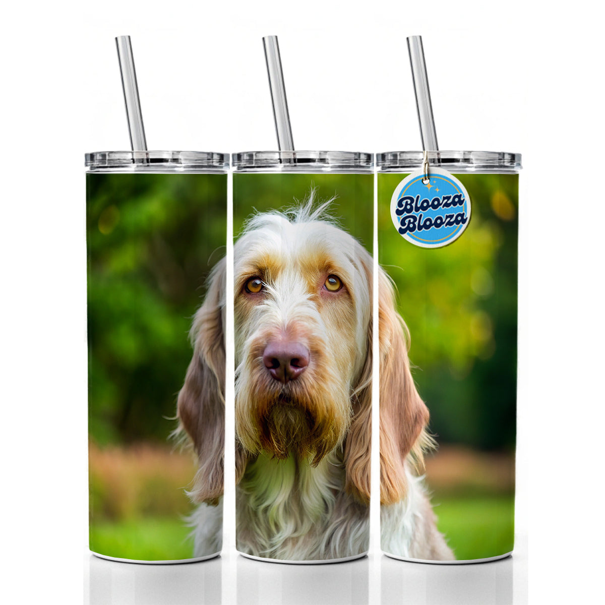 Spinone Italiano Dog Photo Skinny Tumbler 20oz with Straw Insulated Water Bottle Gift
