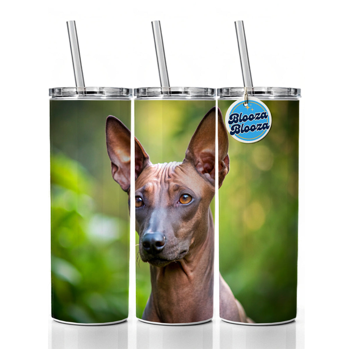 Xoloitzcuintli Xolo Mexican Hairless Dog Photo Skinny Tumbler 20oz with Straw Insulated Water Bottle Gift