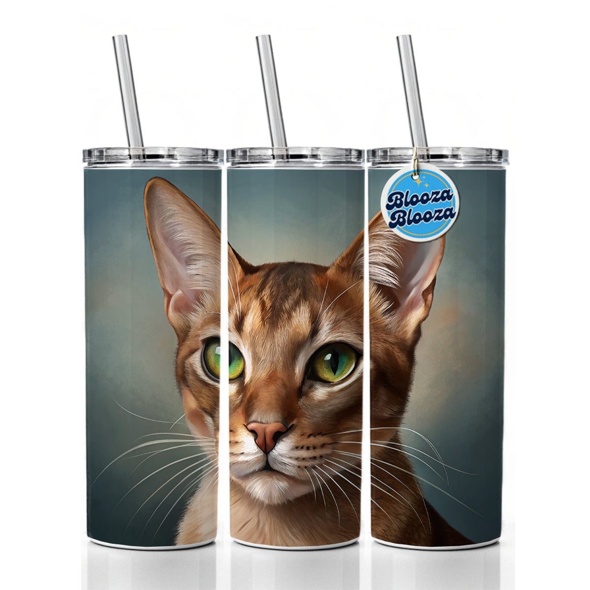 Abyssinian Cat Illustration Skinny Tumbler 20oz with Straw Insulated Water Bottle Gift