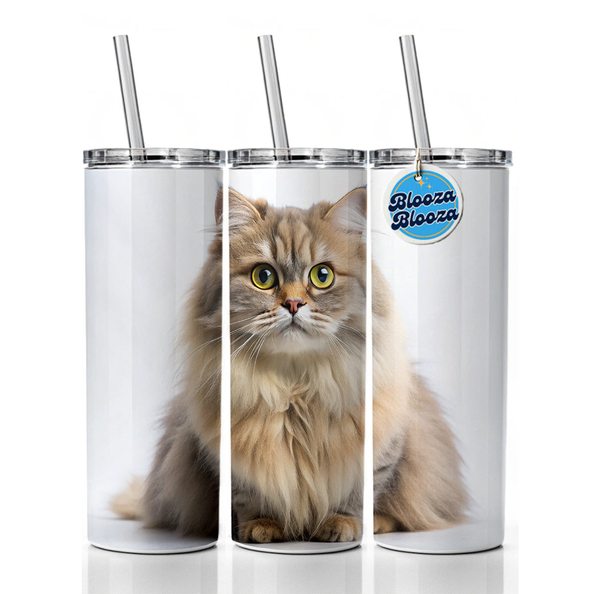 British Longhair Cat Photo Skinny Tumbler 20oz with Straw Insulated Water Bottle Gift