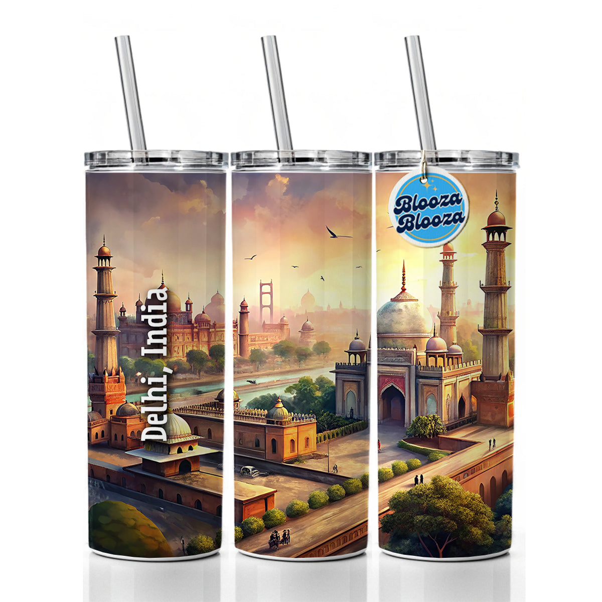 Delhi, India Travel City Country Stamp Skinny Tumbler 20oz with Straw Insulated Water Bottle Gift
