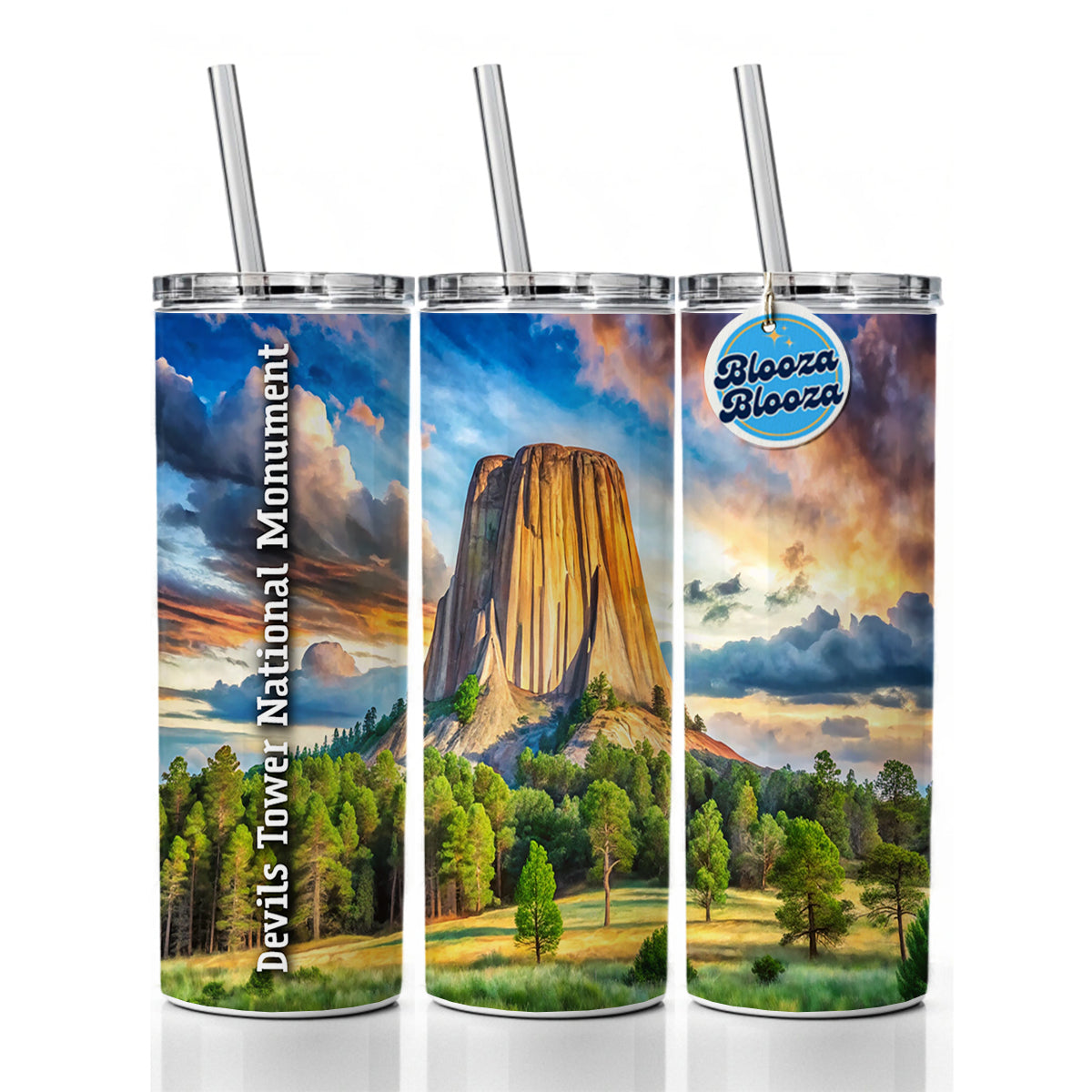 Devils Tower National Monument Wyoming Skinny Tumbler 20oz with Straw Insulated Water Bottle Gift