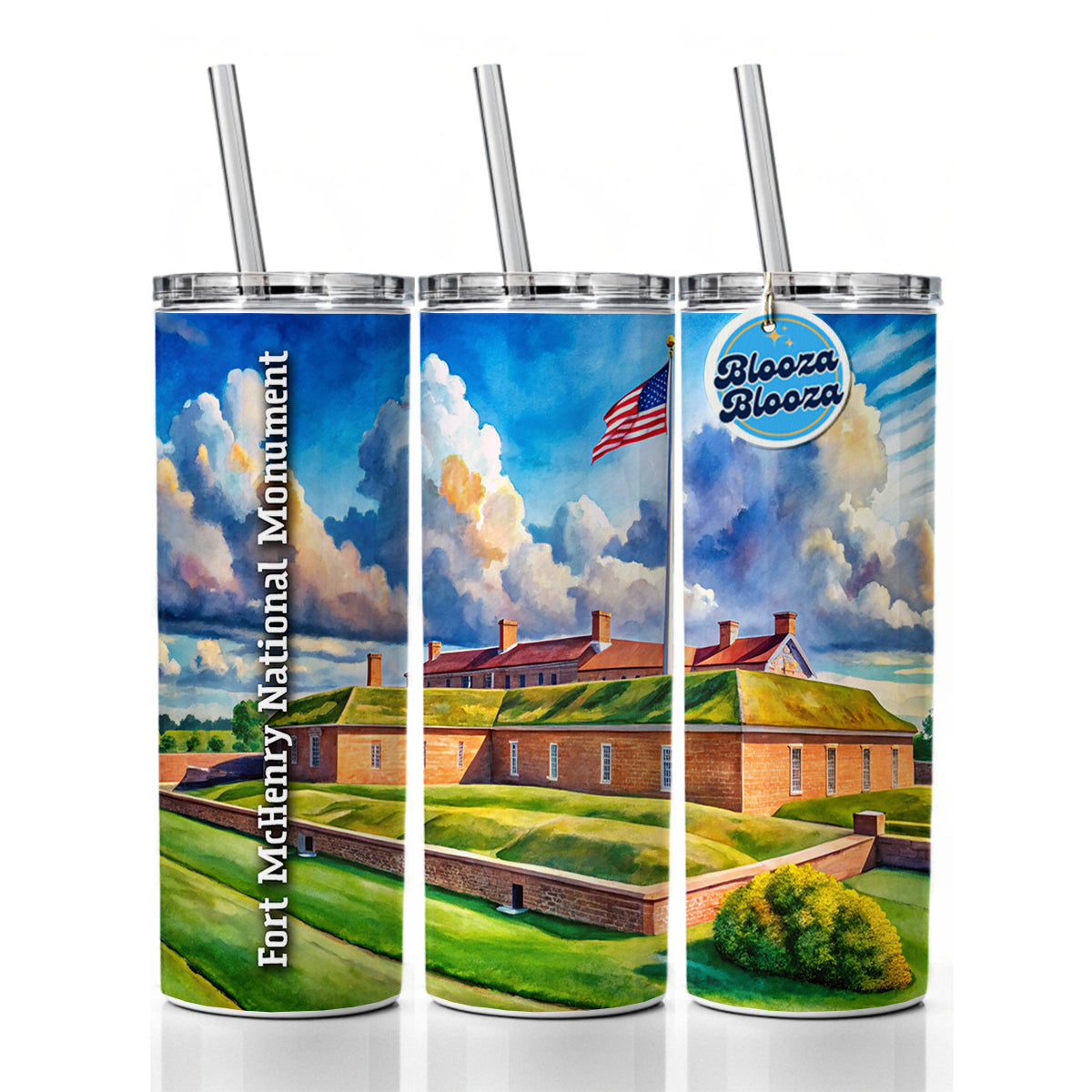 Fort McHenry National Monument Maryland Skinny Tumbler 20oz with Straw Insulated Water Bottle Gift