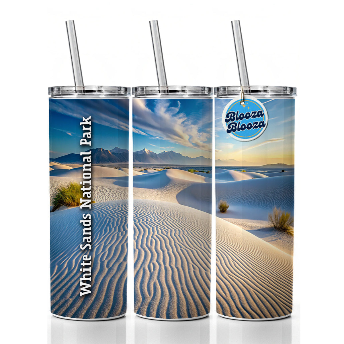 White Sands National Park New Mexico Skinny Tumbler 20oz with Straw Insulated Water Bottle Gift