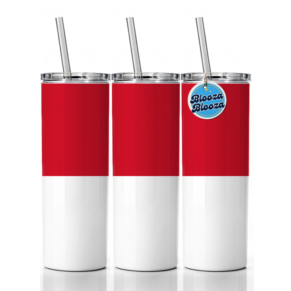 Monaco Country Flag Skinny Tumbler 20oz with Straw Insulated Water Bottle Gift