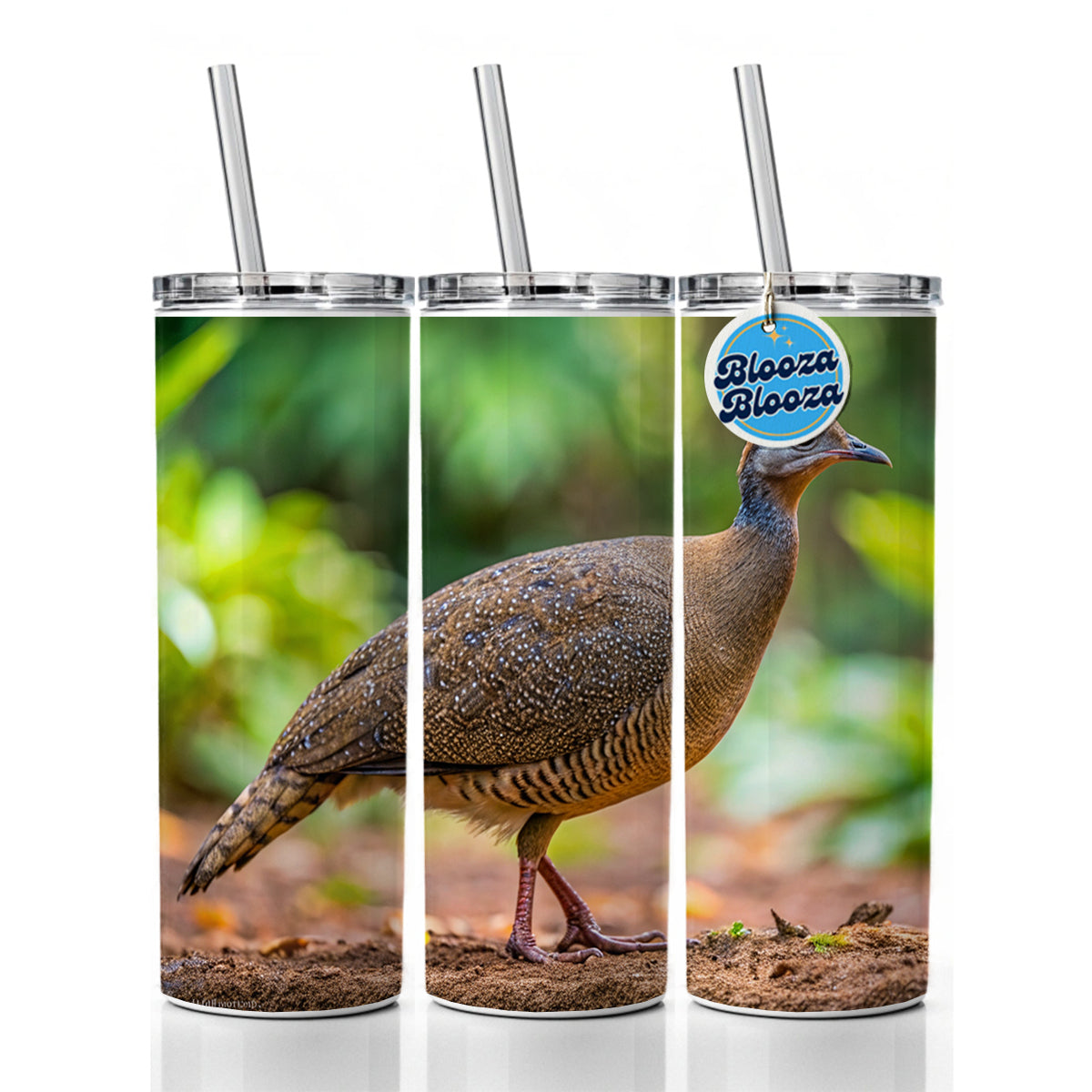 Tinamou Bird Photo Skinny Tumbler 20oz with Straw Insulated Water Bottle Gift