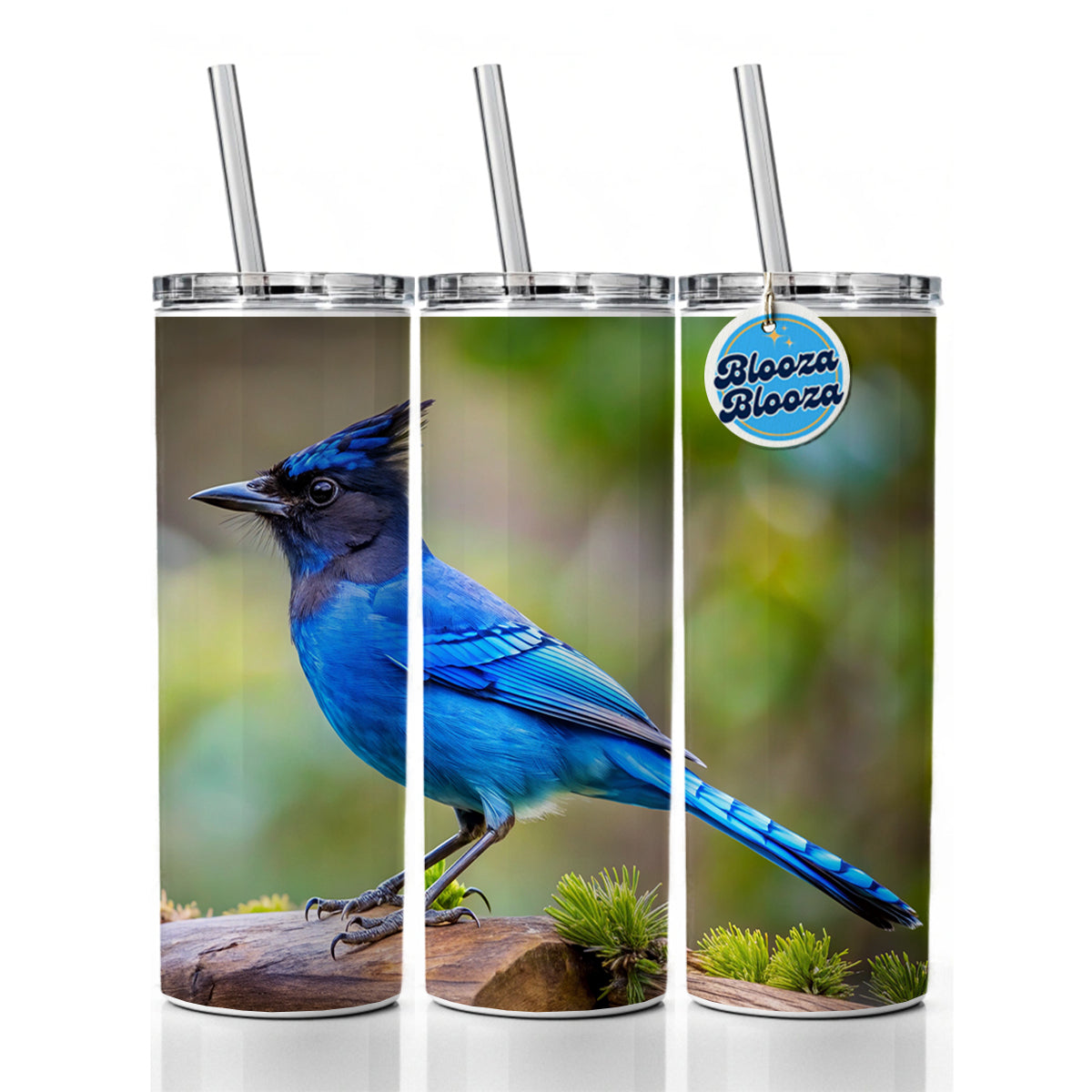 Stellar's Jay Backyard Bird Skinny Tumbler 20oz with Straw Insulated Water Bottle Gift