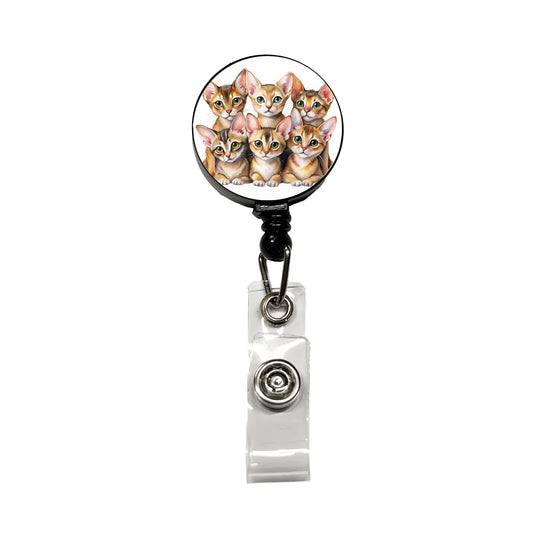 Sweet Abyssinian Cats Retractable ID Key Card Name Tag Badge Holder with Clip