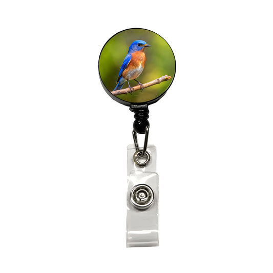 Eastern Bluebird Backyard Bird Retractable ID Key Card Name Tag Badge Holder with Clip