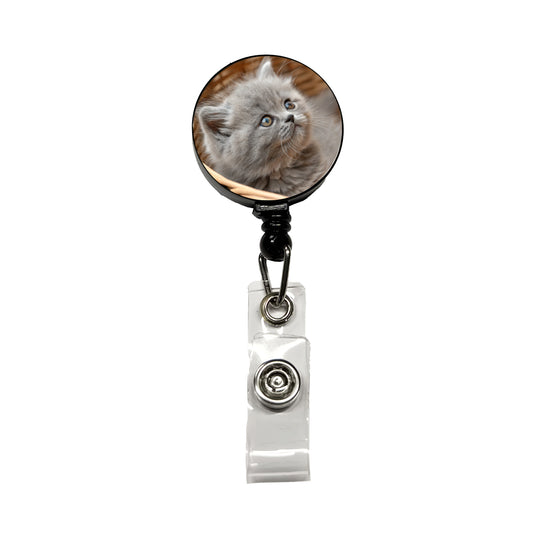 Gray British Longhair Kitten in a Basket Retractable ID Key Card Name Tag Badge Holder with Clip