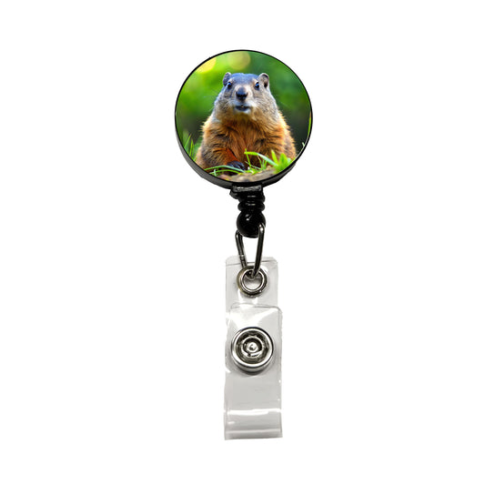 Groundhog Retractable ID Key Card Name Tag Badge Holder with Clip