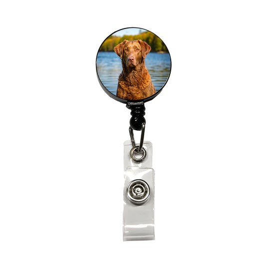 Chesapeake Bay Retriever Dog Photo Retractable ID Key Card Name Tag Badge Holder with Clip