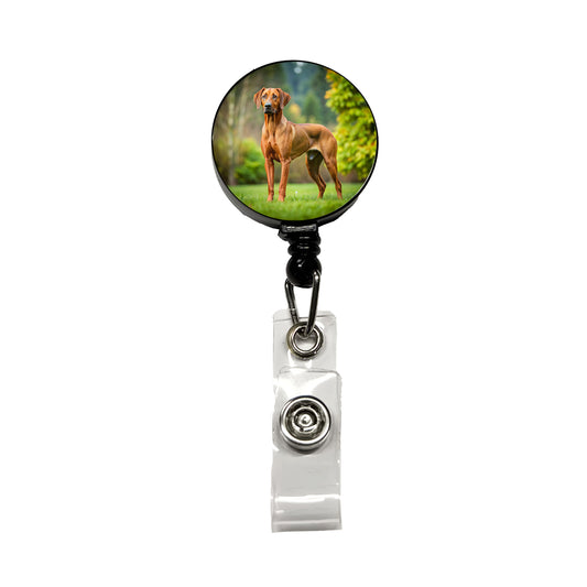 Rhodesian Ridgeback Dog Photo Retractable ID Key Card Name Tag Badge Holder with Clip